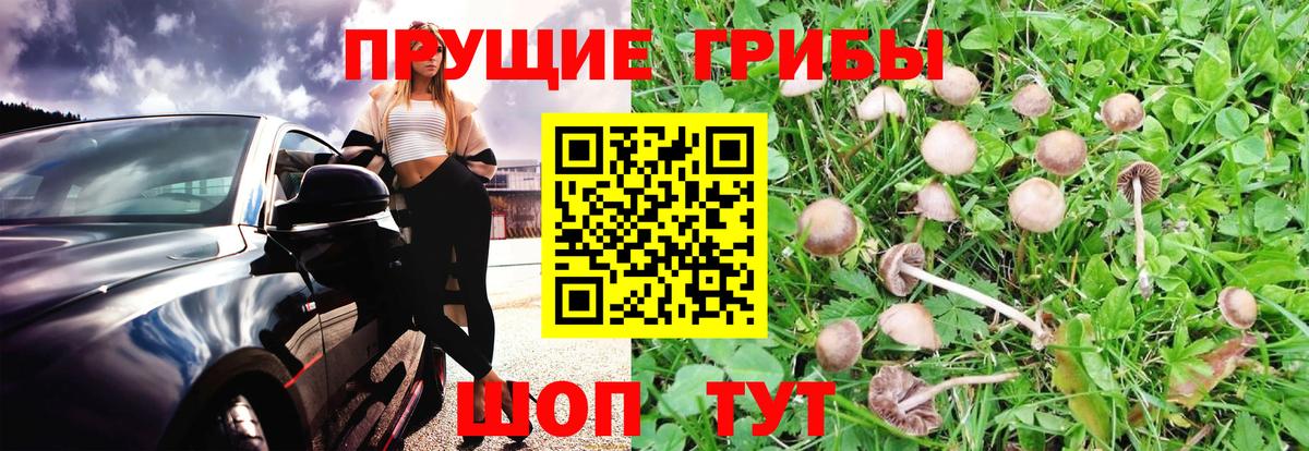 Меф Истра