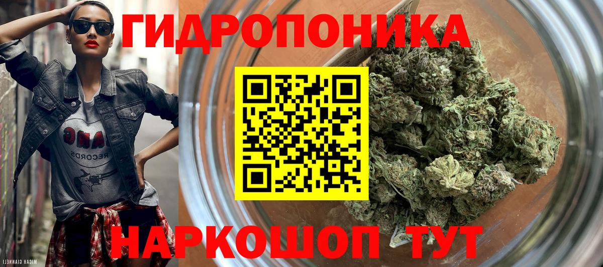 Бошки Шишки Bruce Banner  Вход с VPN  МАРИХУАНА OG Kush  Канабис планчик  Марихуана план  Истра 
